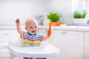 carrot puree to babies